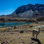 Cordillera Vilcanota Expedition to Nevados Campa (5485 m) & Ausangate