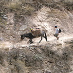 HIKING IN THE COLCA CANYON 