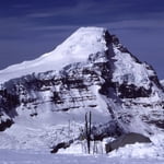 Mount Columbia (3 747 m / 12 293 ft)