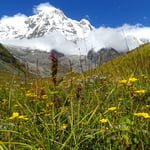 Annapurna Base Camp Trek 