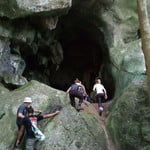 Kenong Rimba Park Eco Tour