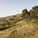 West Africa Mountains