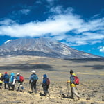 Rongai, Kilimanjaro (5 895 m / 19 341 ft)