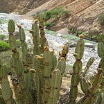 ADVENTURE TOUR IN THE COLCA CANYON
