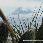 Climbing 2 high mountains  Iztaccihuatl and Pico de Orizaba