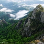 Carpathian Mountains