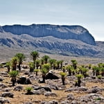 Ethiopian Highlands