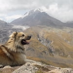 Mount Kazbegi Summit