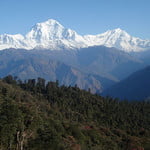 Annapurna Panorama Trek (3 210 m / 10 532 ft)