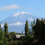 Kilimanjaro (5 895 m / 19 341 ft)