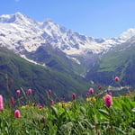 Elbrus Climb from the South, 7-day Schedule