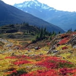 Mount Shuksan (2 783 m / 9 131 ft)