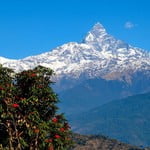 Annapurna Panorama Trek (3 210 m / 10 532 ft)