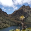 Trekking a la laguna Negra