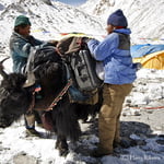 Everest Base  Camp Trek 