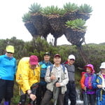 5 Days Kilimanjaro Climb Via Marangu Route (5 895 m / 19 341 ft)