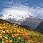 Annapurna Panorama Trek (3 210 m / 10 532 ft)