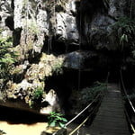 Kenong Rimba Park Eco Tour