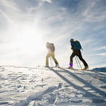 Ski Tour to the Summit of Mehlsack
