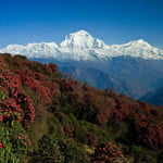 Annapurna Base Camp Trekking (4 130 m / 13 550 ft)