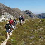 Perdekop Trail, Mont Rochelle Nature Reserve