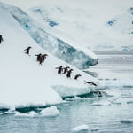 Freeride and skitour in Antarctica