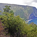 Muliwai Trail