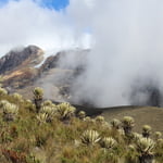 Nevado del Tolima (5 200 m / 17 060 ft)