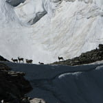 Marble wall, Marble Wall Peak (6 435 m / 21 112 ft)