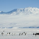 Prince Albert Mountains