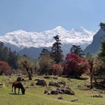Manaslu circuit trek