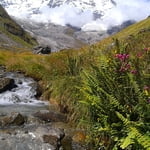Annapurna Base Camp Trek 