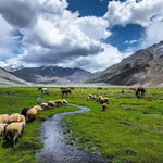 Jeep Safari & Trek HINDUKUSH  Chitral Kalash Valley Pakistan 
