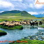 Darkot Pass Trek  Covering Darkot, Broghil & Shah Jinali passes.
