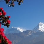 Ghorepani Poon Hill Trek
