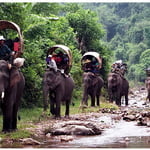 Old Elephant Trail Trek