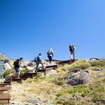 via Thredbo, Mount Kosciusko (2 228 m / 7 310 ft)