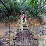 Kenong Rimba Park Eco Tour