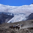 Aconcagua Expedition by Normal Route