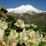Mount Elbrus via South Normal Route