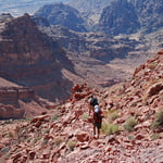 Petra Through the Back Door