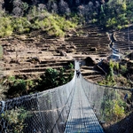 A suspension bridge in Chhumrung