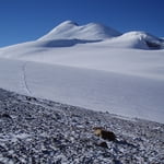 Kazbek (5 033 m / 16 513 ft)