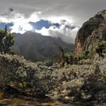 Rwenzori Mountains