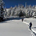 Explore Frozen Woods of Cortina