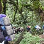 Mount Kilimanjaro (5 895 m / 19 341 ft)