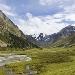 alpine meadows
