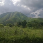 Rwenzori Mountains