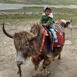 13 Days Hunza Patundas Passu Village Pakistan 