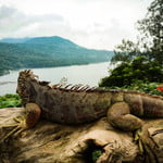 Explore Sacred Lake Jungle with Local